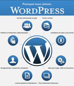 site wordpress- agence metapro